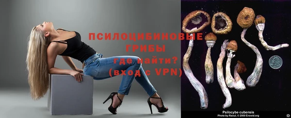 mix Бородино