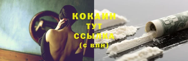 mix Бородино