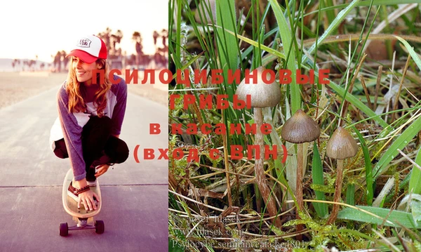 mix Бородино