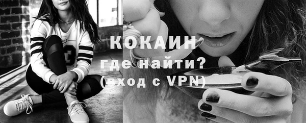 mix Бородино